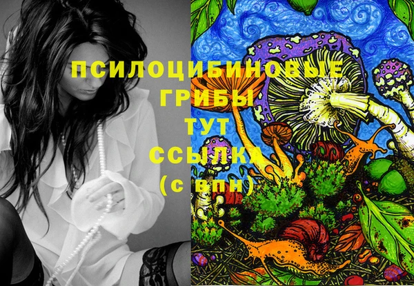 кокаин Алексеевка