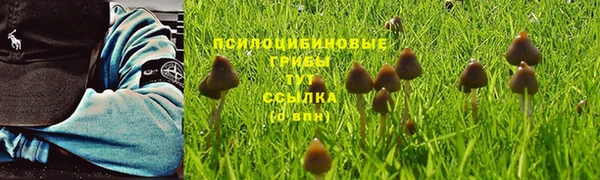 кокаин Алексеевка